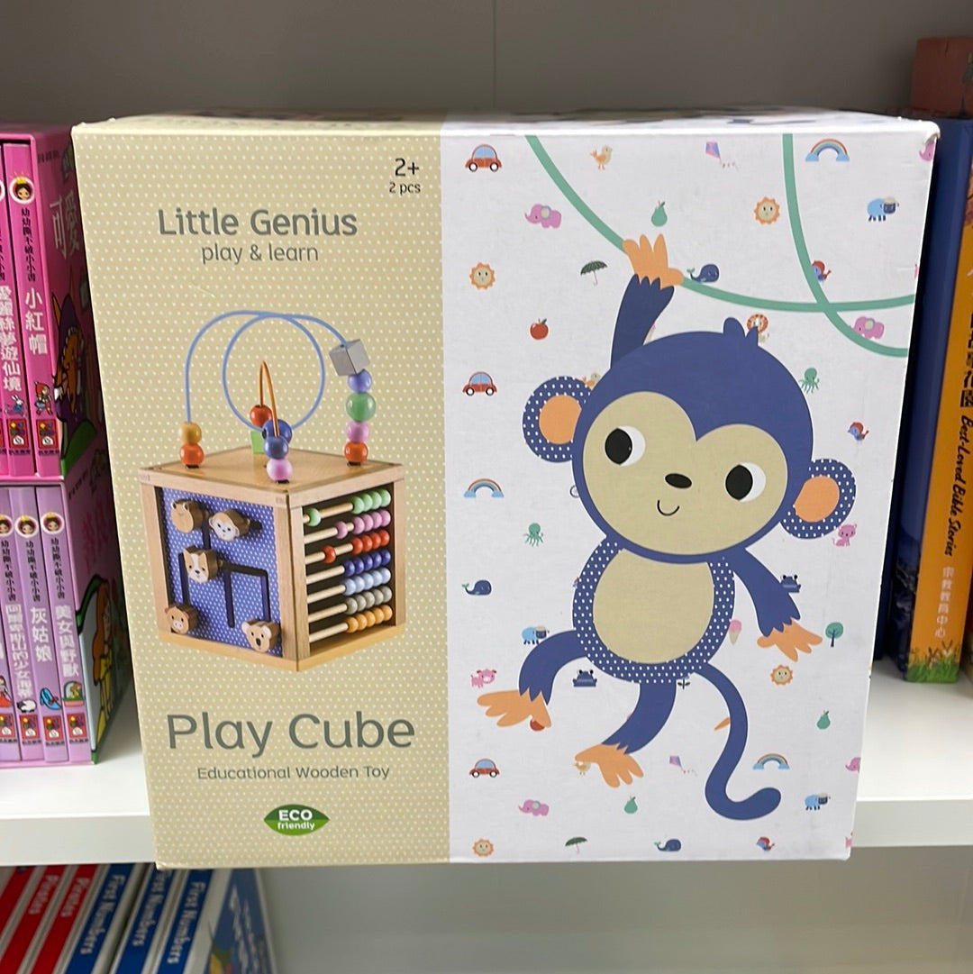 Lake Press Play Cube